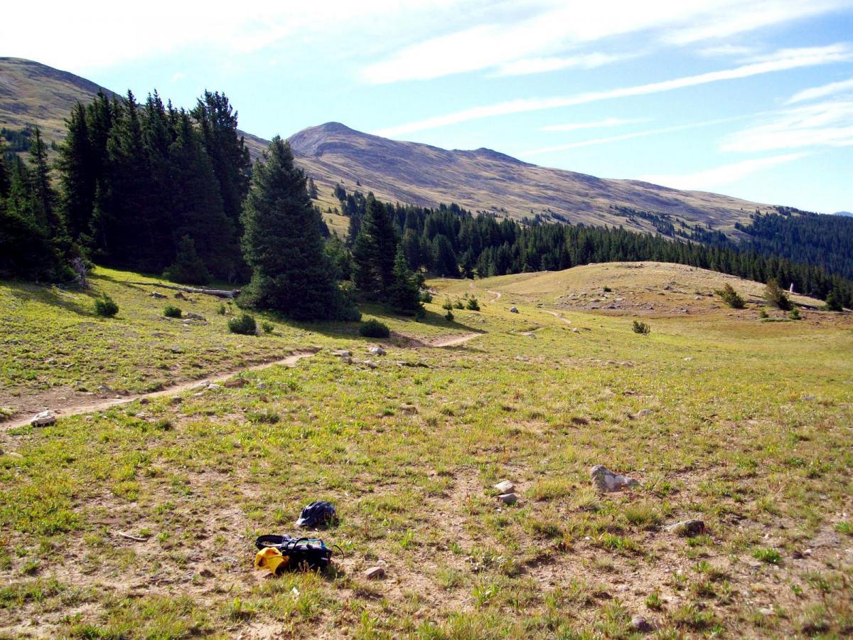 A scenic landscape featuring rolling hills and a clear blue sky. The foreground contains patches of grass and scattered rocks, while a dirt path winds through the grassy area, leading into a lush forest of evergreen trees in the background. The mountains rise majestically in the distance, creating a tranquil and natural setting. Monarch Crest Trail mountain bike trail.