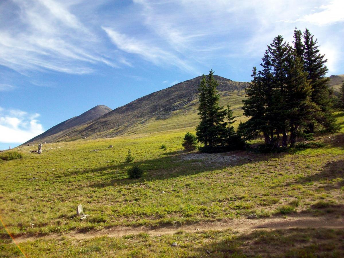 A scenic view of rolling hills featuring a green meadow and patches of trees under a blue sky with wispy clouds. A dirt path winds through the landscape, leading toward distant mountains. The scene captures a tranquil, natural environment. Monarch Crest Trail mountain bike trail.
