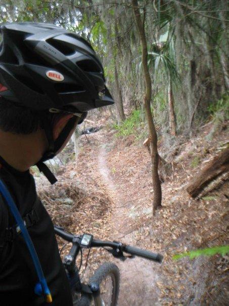 A cyclist wearing a black helmet and riding gear looks down a narrow, winding dirt trail surrounded by lush greenery and trees in a forest setting. Loyce E. Harpe Park mountain bike trail.