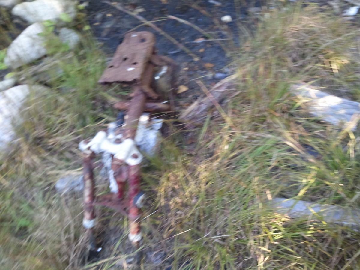 A rusted piece of metal machinery partially covered by grass, with some small rocks in the background. The image appears slightly blurred, making the details less distinct. Cutler Park mountain bike trail.