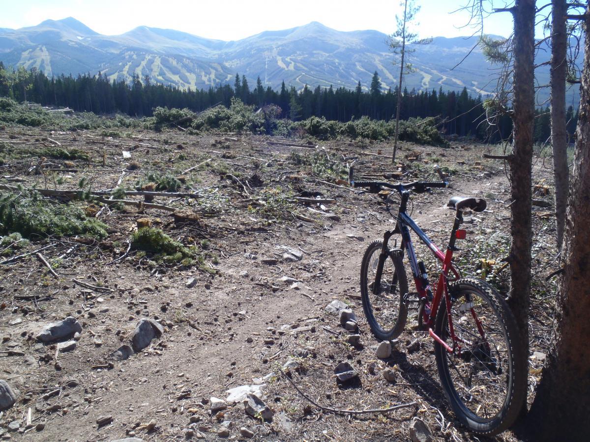 A mountain bike is parked on a dirt trail in a cleared area, surrounded by scattered tree stumps and debris. In the background, mountains rise with visible ski runs, framed by a forest of trees. The scene captures a mix of nature and outdoor adventure in a rugged landscape. Barney Ford / Juniata Trail mountain bike trail.