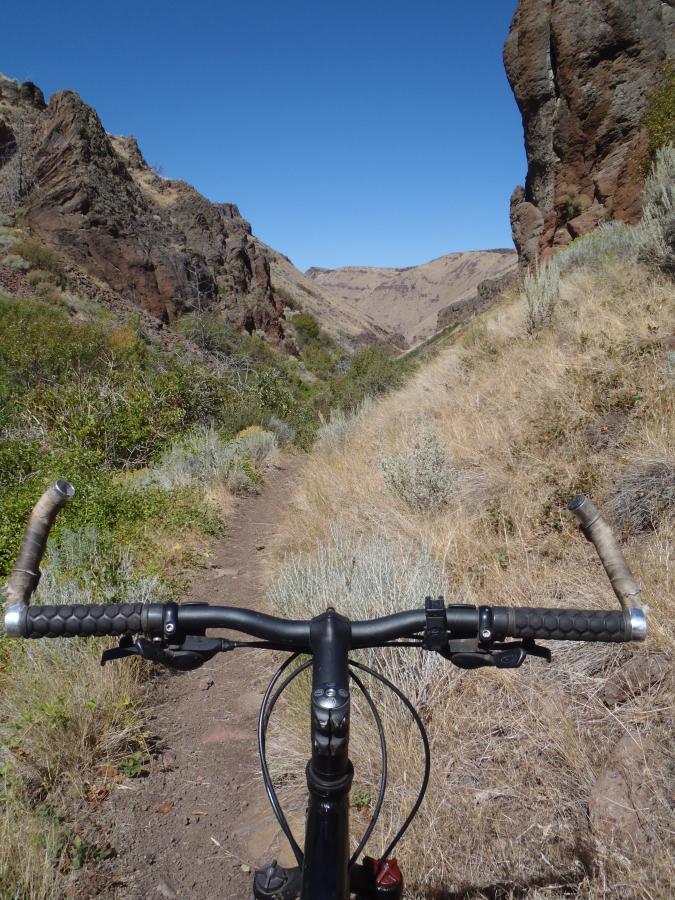 A view from the handlebars of a mountain bike on a narrow dirt trail, surrounded by rocky cliffs and lush vegetation, leading into a scenic valley under a clear blue sky. Harrington Fork mountain bike trail.