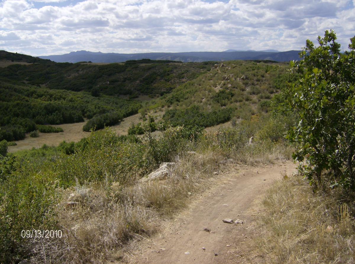 A scenic landscape featuring rolling hills and a winding dirt path. Lush greenery covers the slopes, with patches of trees and shrubs in the foreground. The sky is partly cloudy, with light clouds scattered across a blue backdrop. The scene exudes a tranquil and natural atmosphere, ideal for outdoor exploration. Ridgeline Open Space Trail mountain bike trail.