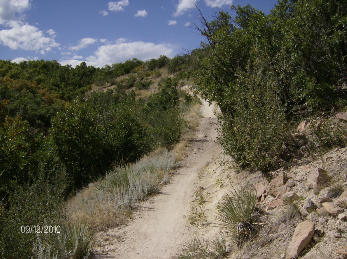 A narrow dirt trail winding through a hilly landscape surrounded by green bushes and shrubs, under a partly cloudy blue sky. The path is slightly elevated, with rocky terrain on the sides and patches of dry grass. Ridgeline Open Space Trail mountain bike trail.