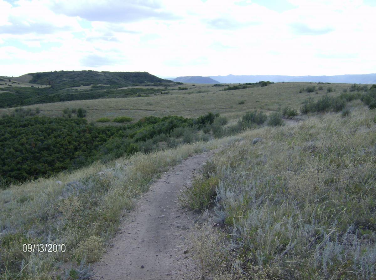 A winding dirt path leads through a grassy landscape, surrounded by rolling hills and patches of green vegetation under a cloudy sky. The scene captures the tranquility of nature, with gentle slopes in the distance. Ridgeline Open Space Trail mountain bike trail.