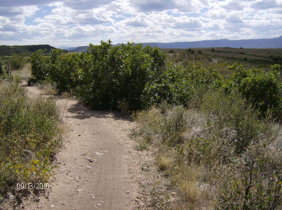 A dirt path winding through green shrubs and grasses, surrounded by rolling hills and a cloudy sky. The scene captures a serene natural landscape. Ridgeline Open Space Trail mountain bike trail.