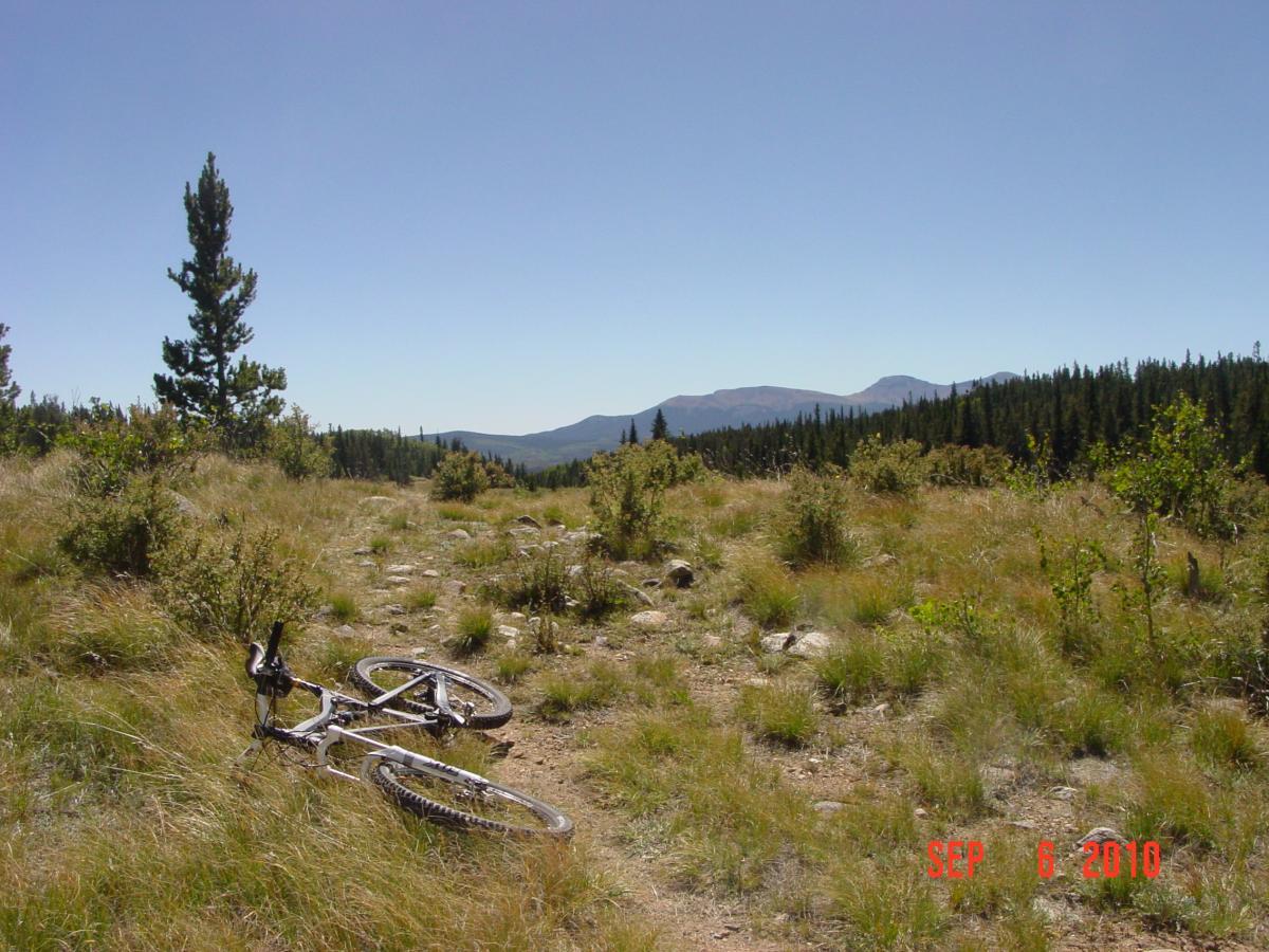 A mountain bike lies on its side on a rocky trail, surrounded by tall grass and scattered shrubs, with a clear blue sky and distant mountains in the background. Sheep Creek mountain bike trail.