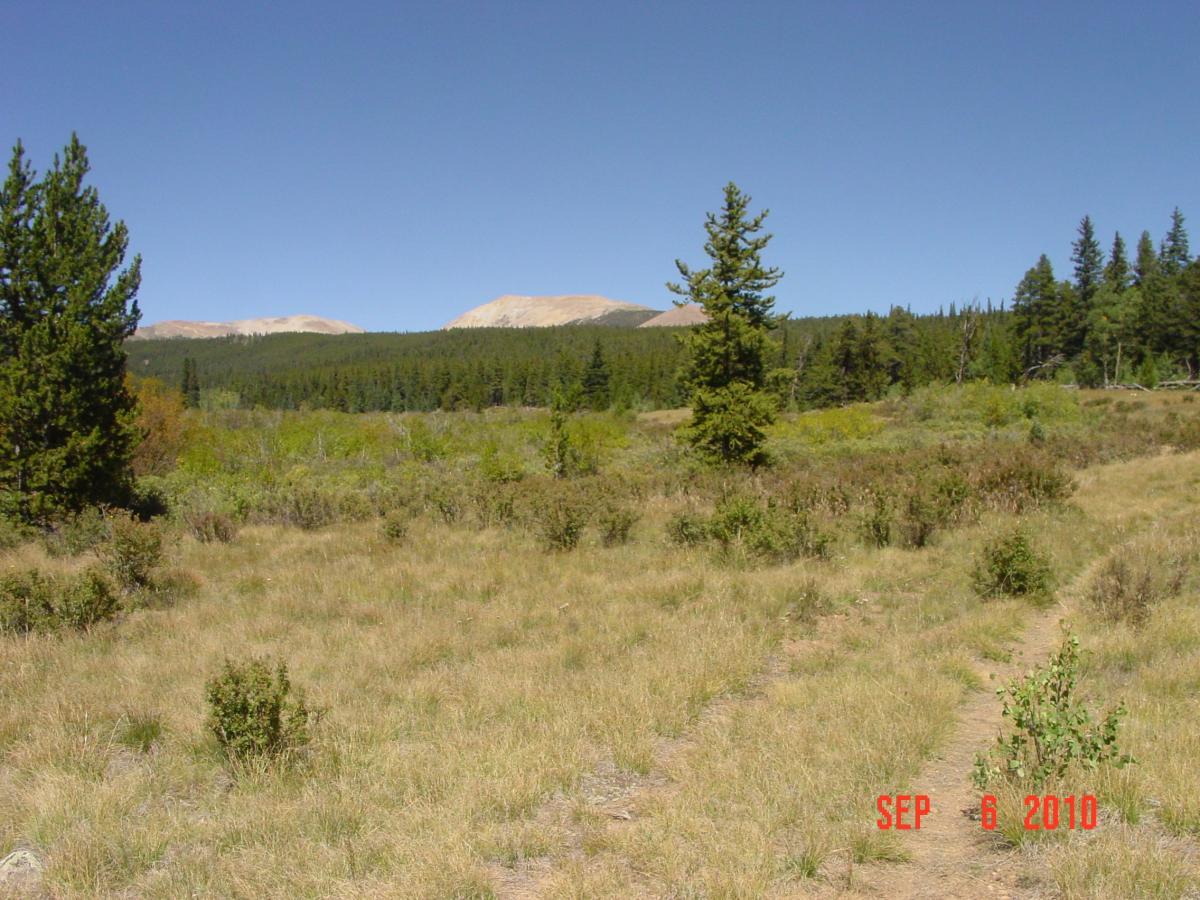 A scenic landscape featuring a grassy meadow with scattered shrubs and trees. In the background, there are rolling hills with a clear blue sky above. The scene has a natural, tranquil feel, indicating a peaceful outdoor setting. Sheep Creek mountain bike trail.