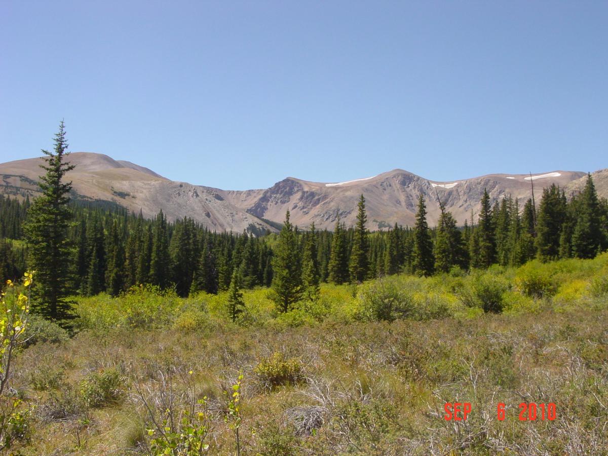A panoramic view of a mountainous landscape featuring a foreground of green foliage and coniferous trees, with rolling hills and peaks in the background under a clear blue sky. The image captures a serene natural setting, showcasing the beauty of the outdoors. The date "SEP 6 2010" is displayed in the bottom right corner. Sheep Creek mountain bike trail.