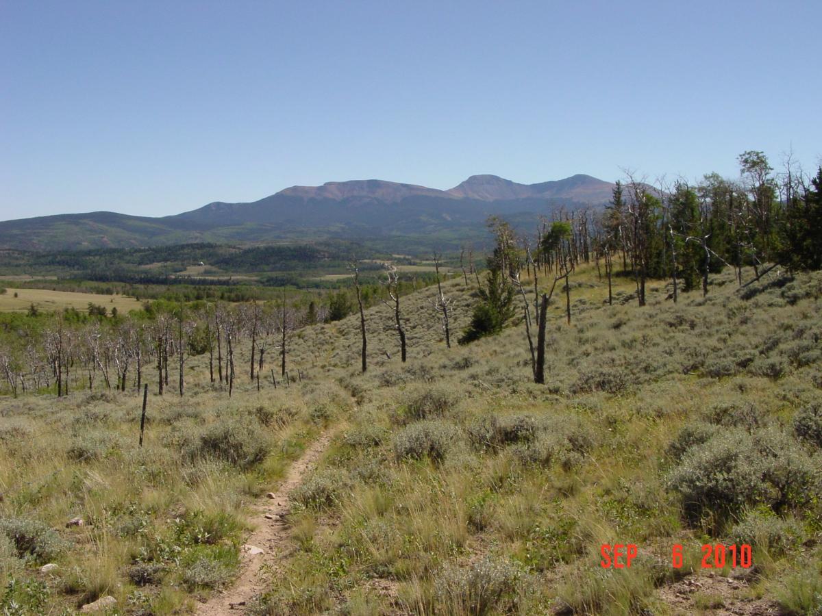 A scenic view of a mountainous landscape with rolling hills, dotted with patches of green trees and sparse shrubs. A dirt trail winds through the foreground, leading towards the distant mountains under a clear blue sky. Dead or barren trees are visible on the left side, contrasting with the lush greenery in the valley below. The date is stamped at the bottom of the image. Sheep Creek mountain bike trail.