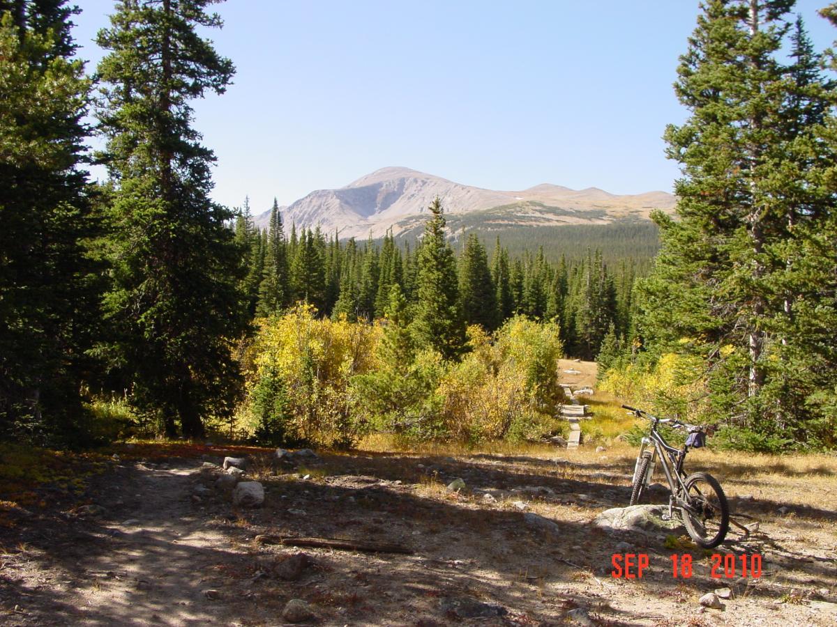 A mountain bike resting on a rocky path surrounded by tall pine trees and vibrant autumn foliage, with a mountainous landscape in the background under a clear blue sky. Waldrop Trail mountain bike trail.