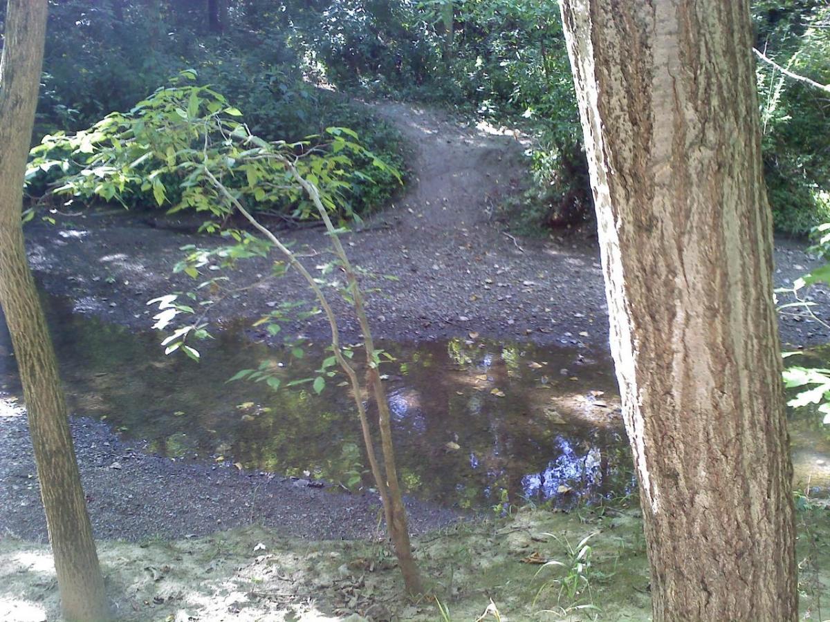 A serene forest scene featuring a small, shallow creek surrounded by trees. The water reflects the greenery overhead, with a sandy bank and a path leading into the woods in the background. Sunlight filters through the leaves, creating a tranquil atmosphere. Franke Park mountain bike trail.