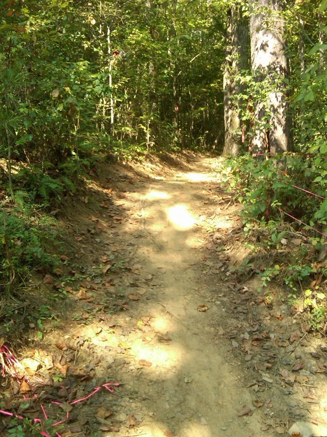 A narrow dirt trail winding through a dense forest, with tall trees and lush greenery on either side. The ground is partially covered with fallen leaves, and there are small markers along the trail. Sunlight filters through the canopy, illuminating the path ahead. Taylor Randahl Memorial Mountain Bike Trails At Olde Rope Mill Park mountain bike trail.