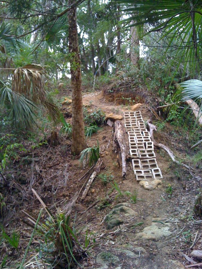 A narrow dirt path in a forested area, featuring a wooden plank bridge made of logs and stones, leading up a small incline. Lush greenery, including palm trees and underbrush, surrounds the trail, creating a natural and slightly rugged landscape. Mala Compra mountain bike trail.