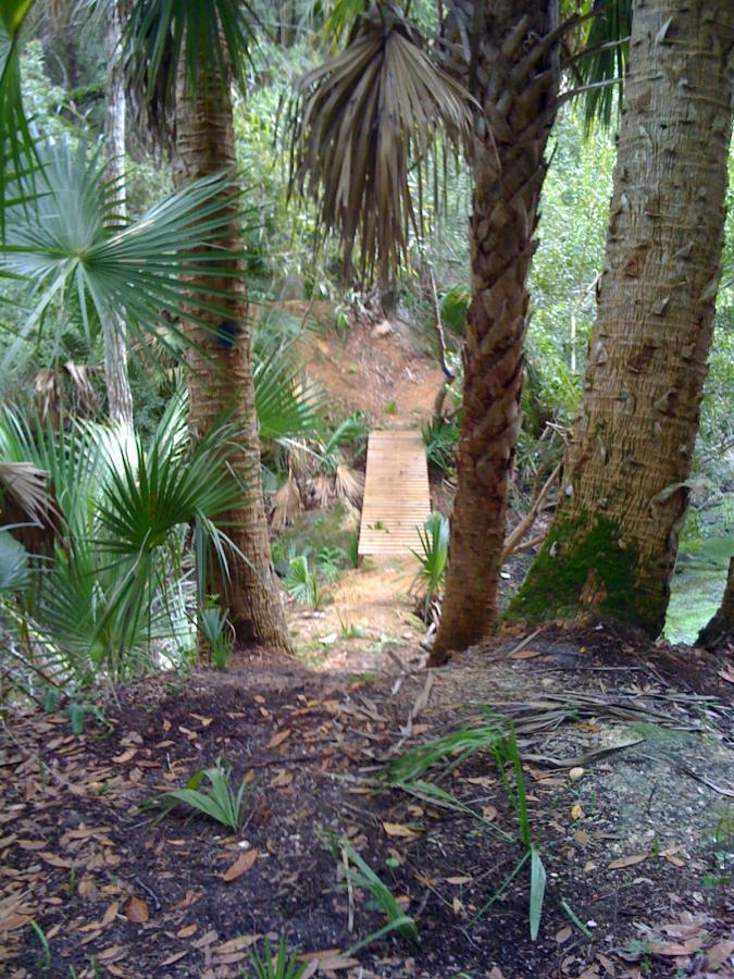 A narrow wooden bridge leads through a lush forest, bordered by tall palm trees and dense undergrowth. The scene is tranquil and green, with a natural path winding down to the bridge amidst the foliage. Mala Compra mountain bike trail.