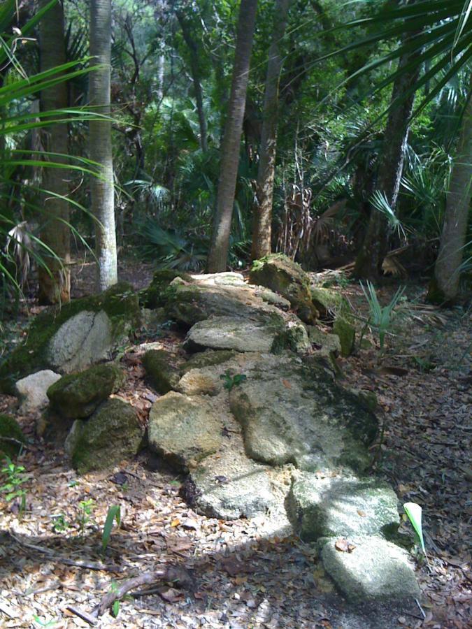 A rocky path surrounded by dense forest foliage, featuring various sizes of stones and moss, with sunlight filtering through the trees. Mala Compra mountain bike trail.