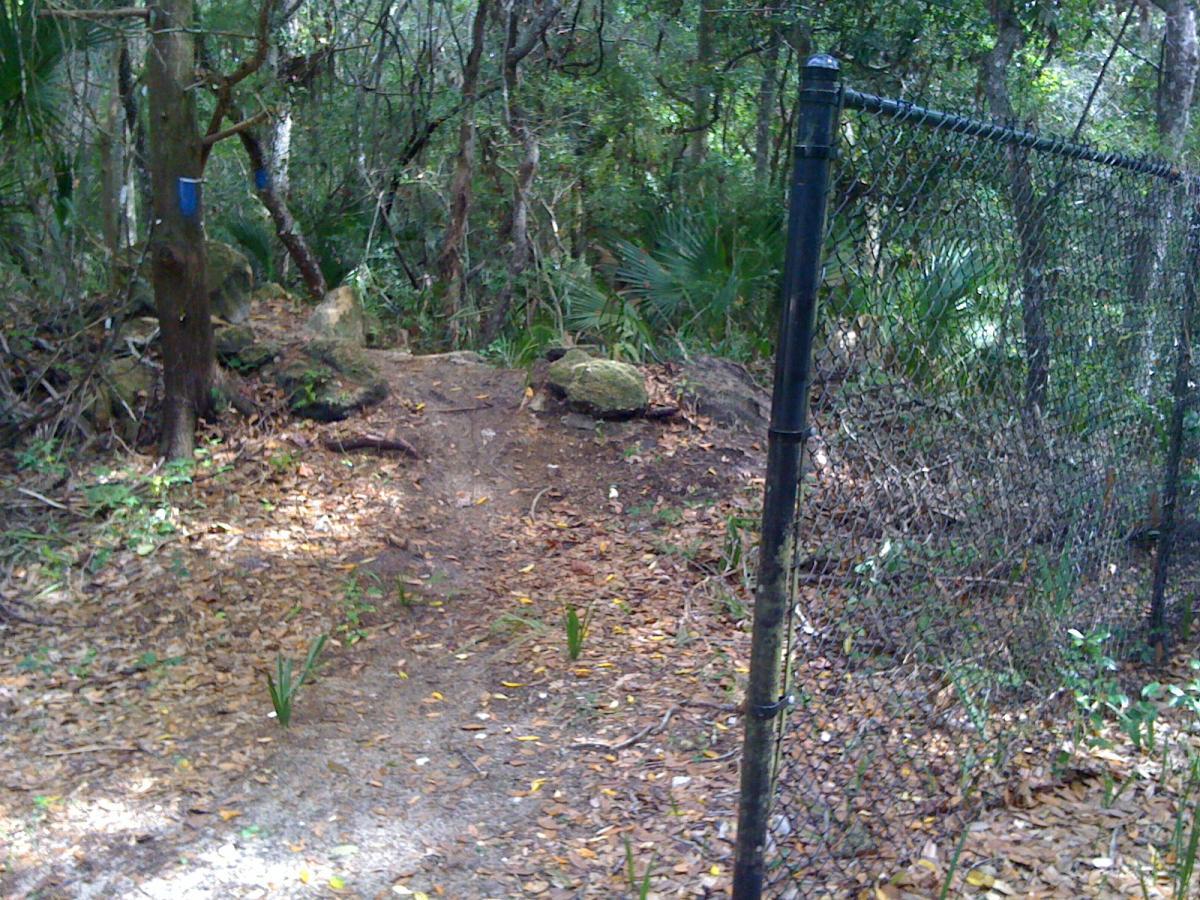 A dirt path leading into a dense forest area, lined with trees and lush foliage. On the left side, there is a black chain-link fence, and a blue marker is visible on a tree. The ground is covered with fallen leaves and small plants, suggesting a natural setting. Mala Compra mountain bike trail.
