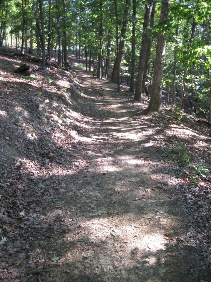 A winding dirt path through a wooded area, surrounded by trees and scattered fallen leaves, with sunlight filtering through the foliage. Bear Bottom Loop mountain bike trail.