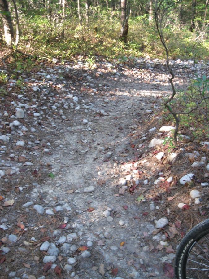 A rocky dirt path winding through a forested area, with fallen leaves scattered along the ground. Trees and foliage line the trail, suggesting a natural outdoor setting ideal for hiking or biking. The image also includes part of a bicycle wheel in the lower right corner. Bear Bottom Loop mountain bike trail.