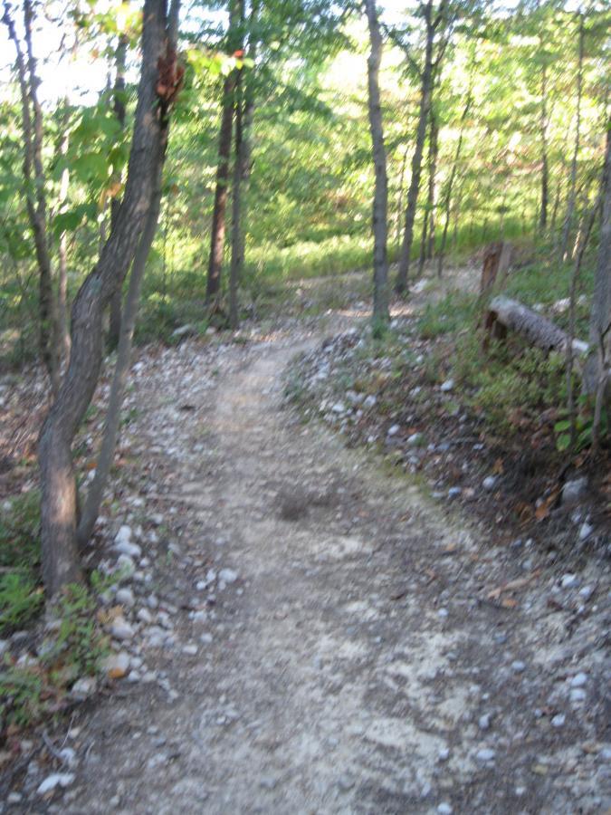 A narrow dirt path winding through a wooded area, surrounded by trees and underbrush. Sunlight filters through the leaves, casting a soft glow on the trail, which is lined with small stones and pebbles. The scene conveys a sense of tranquility and natural beauty. Bear Bottom Loop mountain bike trail.