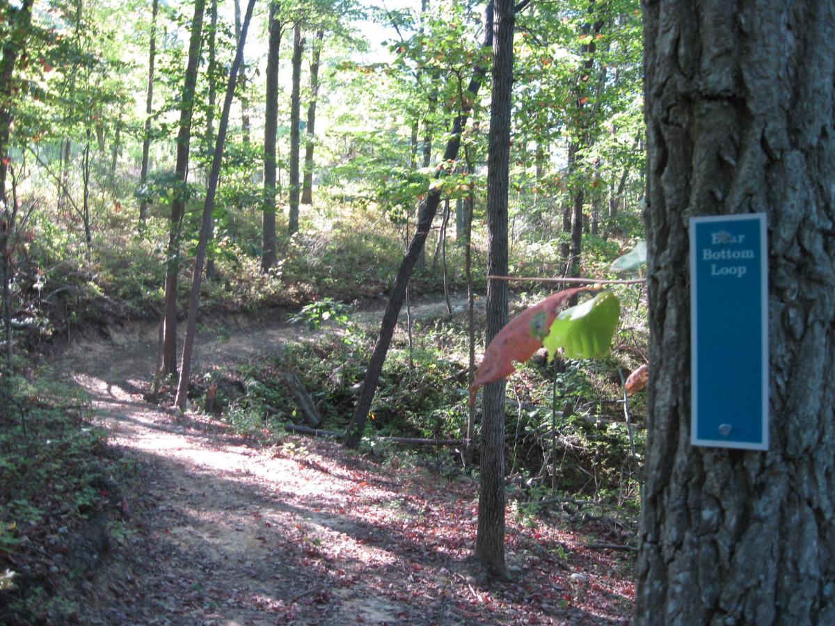 A dirt path winding through a forest with tall trees and patches of sunlight filtering through the leaves. A sign reading "Bottom Loop" is attached to a tree trunk on the right side of the image, indicating a hiking trail. Fallen leaves cover the ground, adding color to the natural setting. Bear Bottom Loop mountain bike trail.