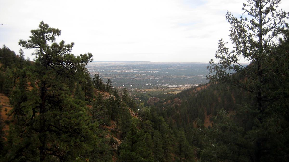 A panoramic view of a lush, green mountainous landscape, featuring pine trees in the foreground and a broad, distant valley stretching out beneath a cloudy sky. The scene captures the natural beauty of the area, highlighting the contrasting textures of the trees and the soft, expansive land below. Palmer Trail / Section 16 mountain bike trail.