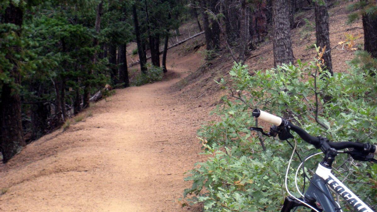 A dirt trail winding through a wooded area, flanked by trees and shrubs. A bicycle is parked on the right side of the path, partially obscured by greenery. Palmer Trail / Section 16 mountain bike trail.