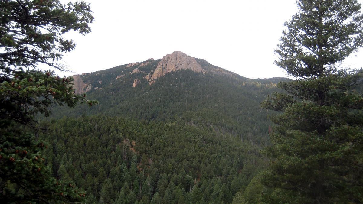 A rocky mountain peak rises above a dense forest of evergreen trees, under a cloudy sky. The landscape showcases a natural scene, with lush greenery in the foreground and rugged terrain in the background. Palmer Trail / Section 16 mountain bike trail.