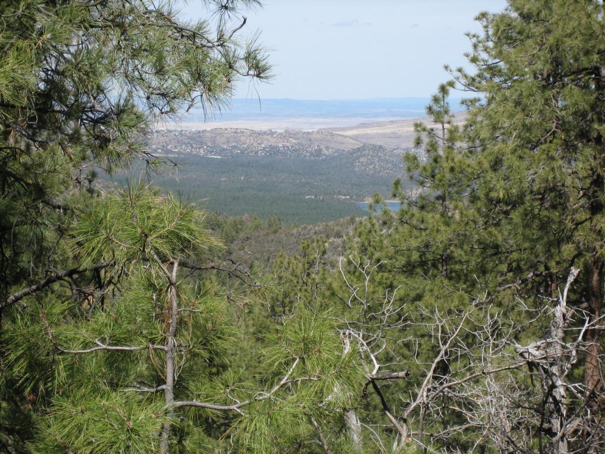 A scenic view of a mountainous landscape with lush green trees in the foreground and rolling hills and valleys stretching into the distance. The horizon features a clear sky, and a body of water is visible in the lower part of the scene. Smith Ravine mountain bike trail.