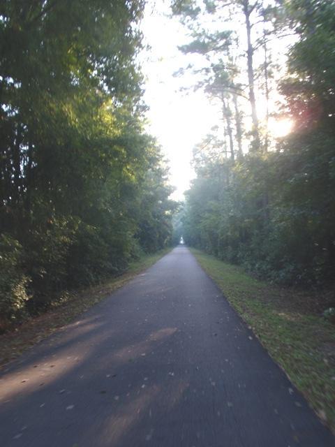 A serene, tree-lined pathway stretches straight ahead, surrounded by lush greenery on both sides. Sunlight filters through the tall trees, casting a soft glow on the asphalt path, creating a peaceful atmosphere ideal for walking or biking. Jacksonville-Baldwin Trail mountain bike trail.