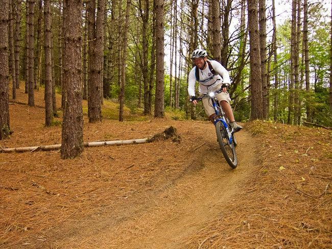 A mountain biker navigating a winding dirt trail through a dense forest of tall pine trees, showcasing a dynamic riding position. The ground is covered with fallen pine needles, and green foliage is visible in the background. The rider is wearing a helmet and a light-colored outfit, highlighting an active outdoor lifestyle. Kingdom Trails mountain bike trail.