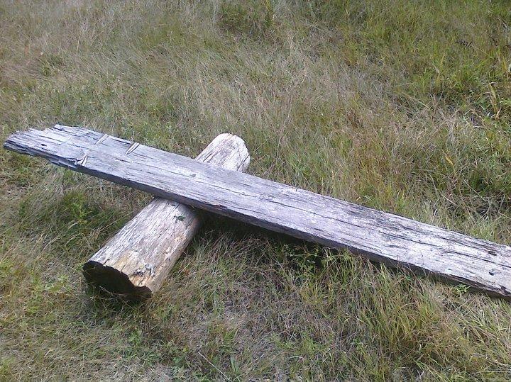 A weathered wooden plank rests across a round log on a grassy field. The plank shows signs of aging, with visible wear and texture, while the log is slightly rounded and also appears aged. The background features tall grass, suggesting a natural outdoor setting. Cutler Park mountain bike trail.
