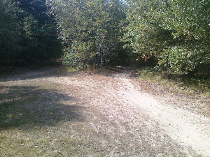 A dirt path surrounded by dense trees, showing a fork where the trail splits into two directions. The ground is mostly dry and grassy, with hints of sunlight filtering through the foliage. Cutler Park mountain bike trail.