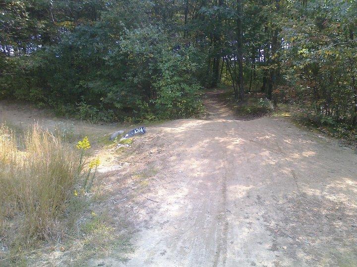 A dirt path splitting into two directions, surrounded by greenery and trees. The sun casts shadows on the ground, and a small sign is partially visible on the left side of the path. Yellow wildflowers are blooming on the edge of the trail. Cutler Park mountain bike trail.