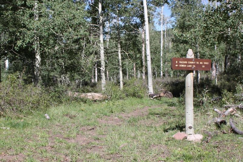 A dirt path leading into a forest with tall aspen trees, featuring a wooden signpost indicating "Hazard County Trail No. 5903" and directions to "Oowah Lake." The area is lush with green grass and scattered fallen logs. Hazard County mountain bike trail.