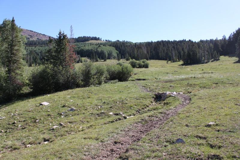 A scenic landscape featuring a grassy meadow with a winding dirt path cutting through it. The background includes a mix of trees and rolling hills under a clear blue sky. Sunlight illuminates the scene, highlighting the natural beauty of the outdoor setting. Moonlight Meadows & Clark Lake mountain bike trail.