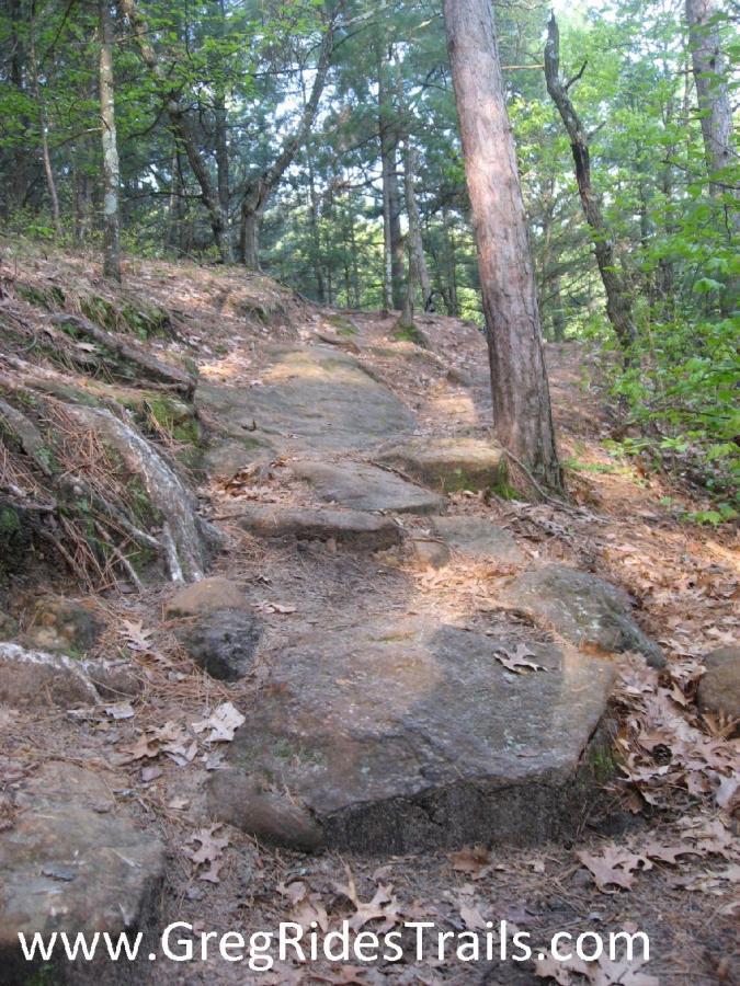 A rocky hiking trail winding through a forest, with large stone steps and patches of fallen leaves along the path. Tall trees and greenery frame the scene, creating a natural, shaded environment. Northface mountain bike trail.