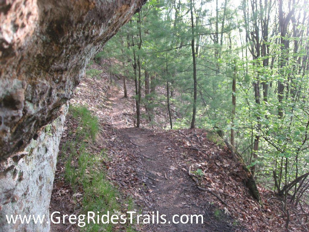 A forested hiking trail surrounded by lush greenery and rocky terrain, with a partially visible rock face on the left side. The path winds through the trees, inviting exploration of the natural landscape. Cliffhanger mountain bike trail.
