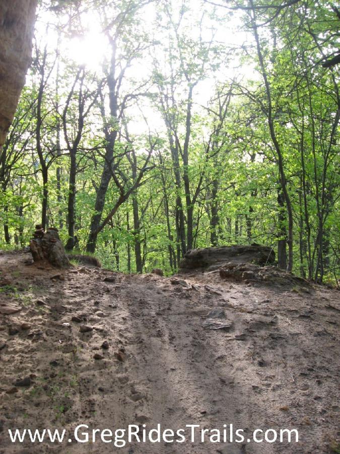 A sunlit path winding through a lush green forest, with rocks and dirt leading up a gentle incline. The scene captures the tranquility of nature, surrounded by tall trees and dappled light filtering through the leaves. Toad Road mountain bike trail.