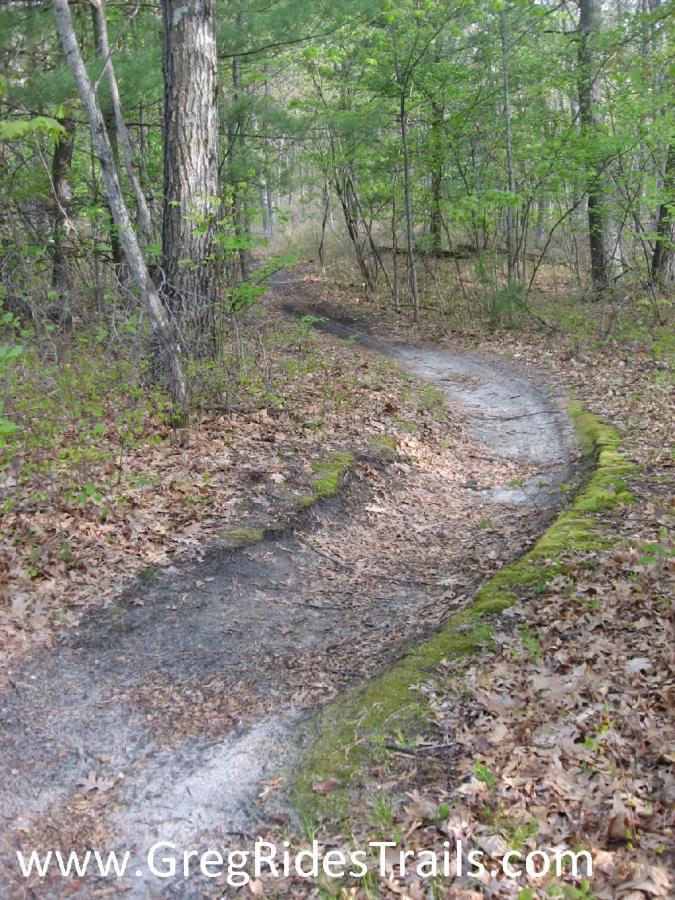 A winding dirt trail surrounded by trees in a wooded area, with green foliage and scattered leaves on the ground. The path curving gently to the right leads deeper into the forest. Warm Up Singletrack mountain bike trail.