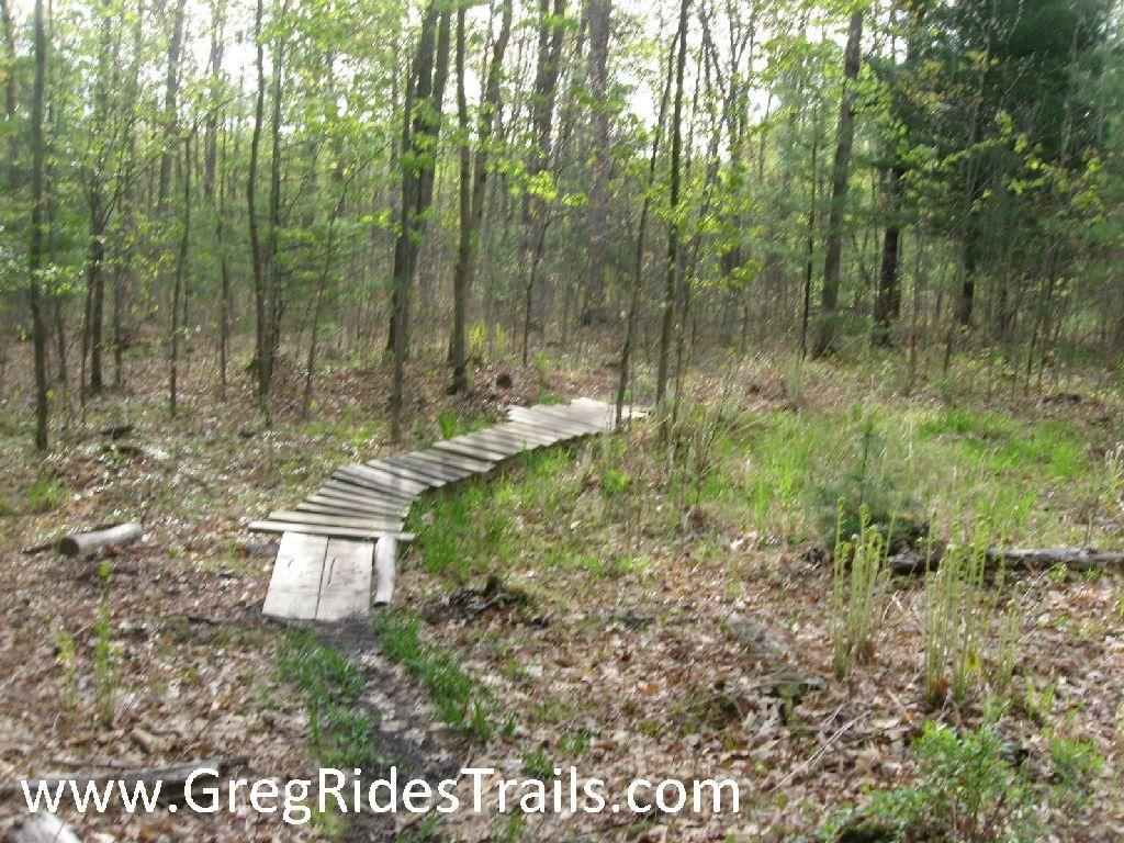 A wooden boardwalk winding through a forested area, surrounded by trees and undergrowth. The path is slightly elevated, leading through a natural landscape with scattered leaves and small plants. Soft sunlight filters through the trees, creating a serene atmosphere. Snodgrass mountain bike trail.