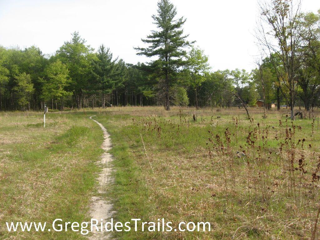 A winding dirt path leads through a grassy field, bordered by trees in the background. The scene features a mix of green foliage and dried plants, with a wooden structure partially visible in the distance. The sky is mostly clear, suggesting a sunny day. Snodgrass mountain bike trail.