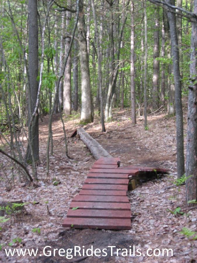 A wooden boardwalk pathway through a lush green forest, surrounded by tall trees and scattered leaves on the ground. The boardwalk gently curves along the trail, providing a safe passage over uneven terrain. Lucy's Loop mountain bike trail.