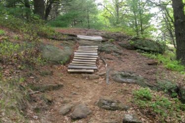 A dirt trail in a wooded area, featuring a set of wooden planks leading up a rocky incline. Surrounding vegetation includes green leaves and trees, creating a natural hiking path. Porky Point mountain bike trail.