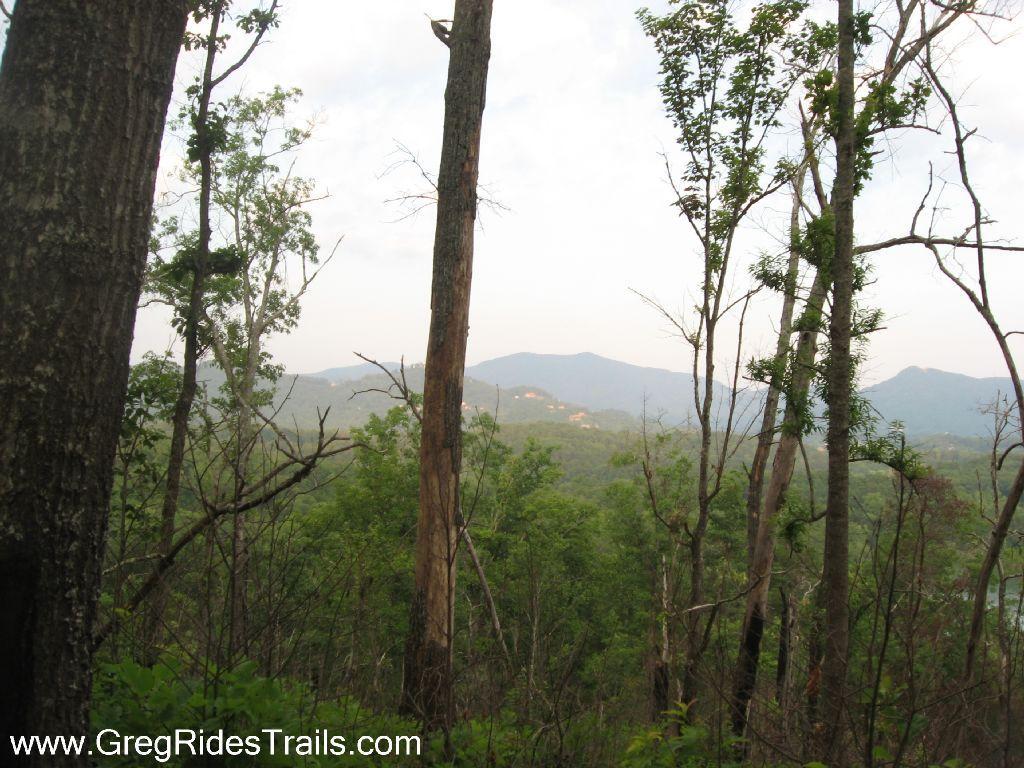 A tranquil landscape featuring a viewpoint through sparse trees, showcasing rolling green hills and distant mountains under a soft sky. The scene captures the serenity of nature, with a blend of earthy textures and hues. High Point mountain bike trail.