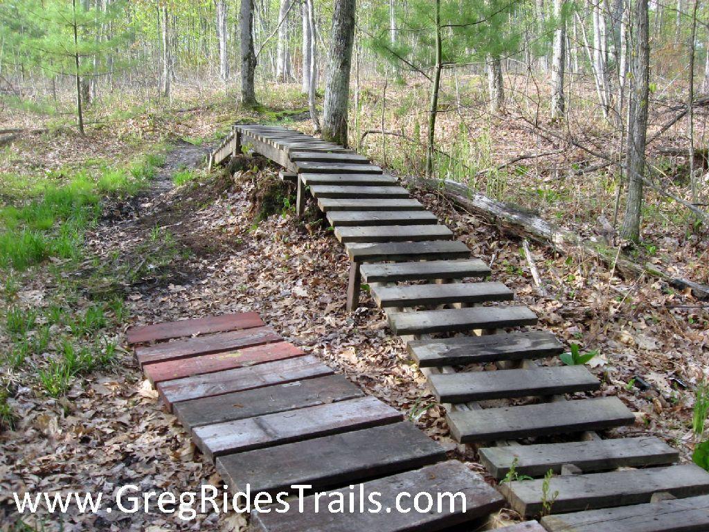 A wooden bridge winding through a forested area, surrounded by greenery and fallen leaves. The bridge is made up of rectangular planks, leading over a narrow path. Sunlight filters through the trees, creating a serene outdoor atmosphere. Snodgrass mountain bike trail.