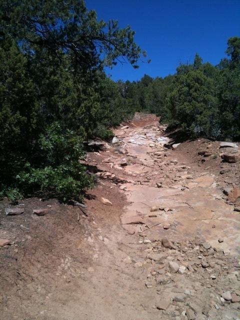 A rocky hiking trail winding through a forested area, surrounded by green shrubs and trees under a clear blue sky. The path is uneven, with large stones and dirt making up the terrain. Horse Gulch mountain bike trail.