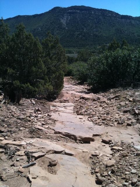 A rocky hiking trail leading downward through sparse vegetation, with a mountain visible in the background against a clear blue sky. Horse Gulch mountain bike trail.