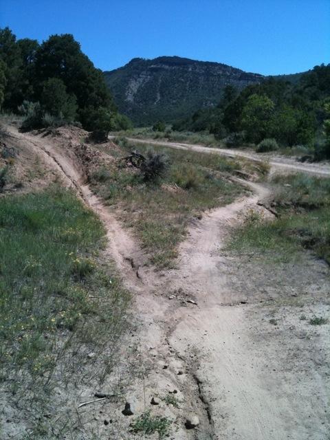 A dirt pathway diverging into two separate trails, surrounded by greenery and shrubs, with a mountainous landscape in the background under a clear blue sky. Horse Gulch mountain bike trail.