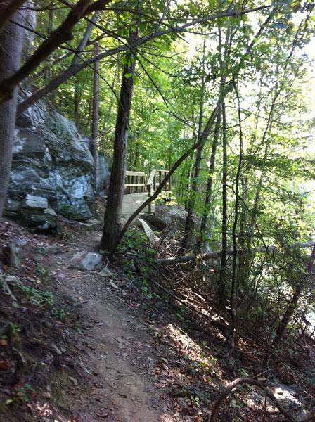 A winding dirt path surrounded by lush green trees leads to a wooden bridge partially hidden among the foliage. Large rocks are visible alongside the trail, enhancing the natural setting. Sunlight filters through the leaves, creating a peaceful, shaded atmosphere. Warrior Creek mountain bike trail.